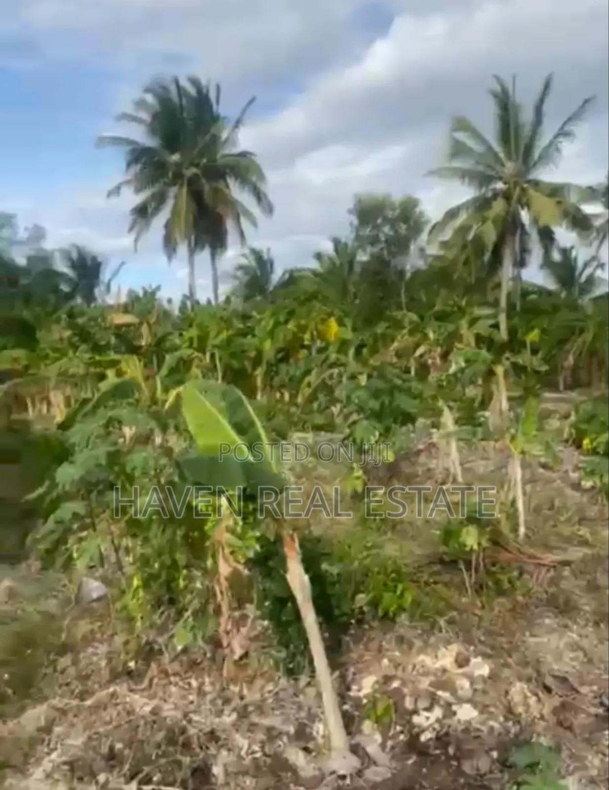 Beach Plot for Sale at Unguja Ukuu Zanzibar