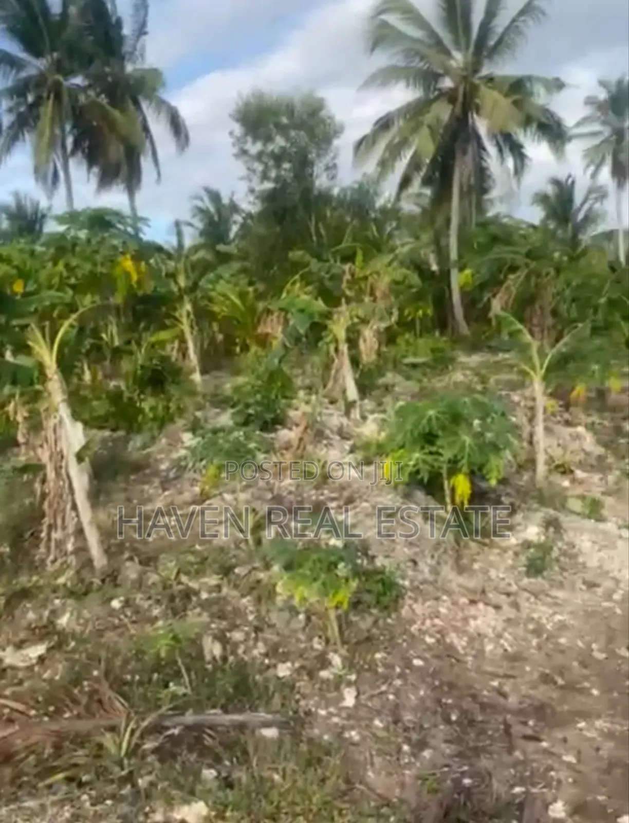 Beach Plot for Sale at Unguja Ukuu Zanzibar