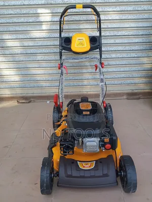 Gasoline Lawn Mower20" Ingco Glm196202