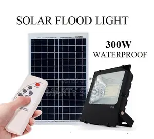 Solar Flood Light
