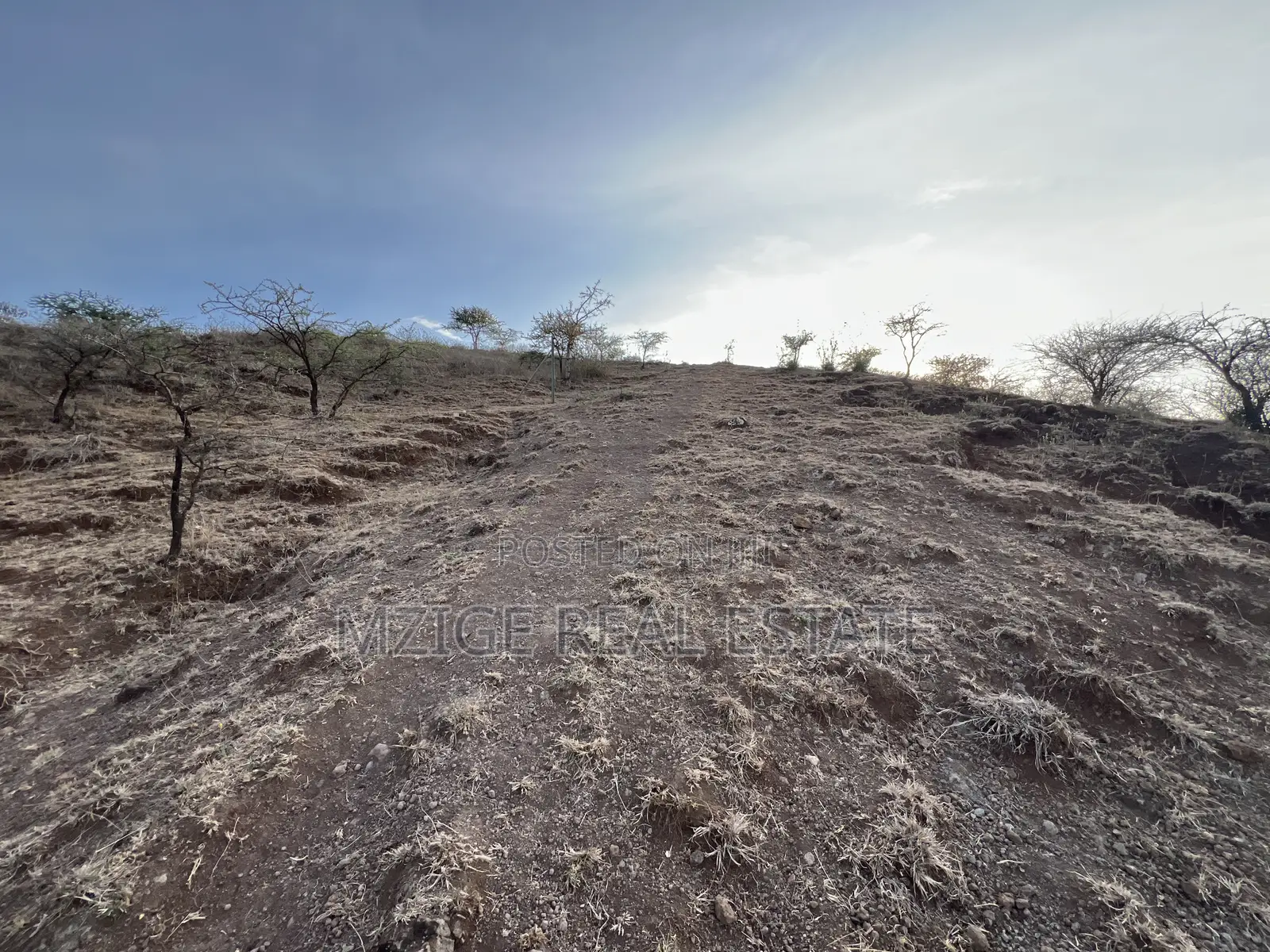 Opportunity: 5-Acre View Plot in Ngaramtoni for Sale.