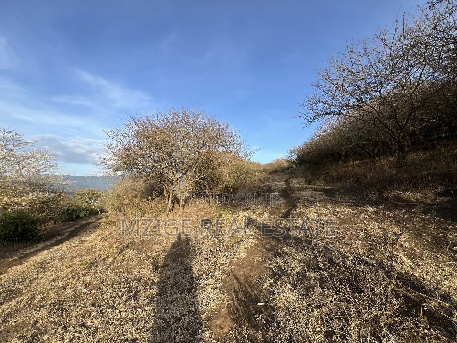 Opportunity: 5-Acre View Plot in Ngaramtoni for Sale.