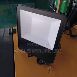 Flood Light 100w