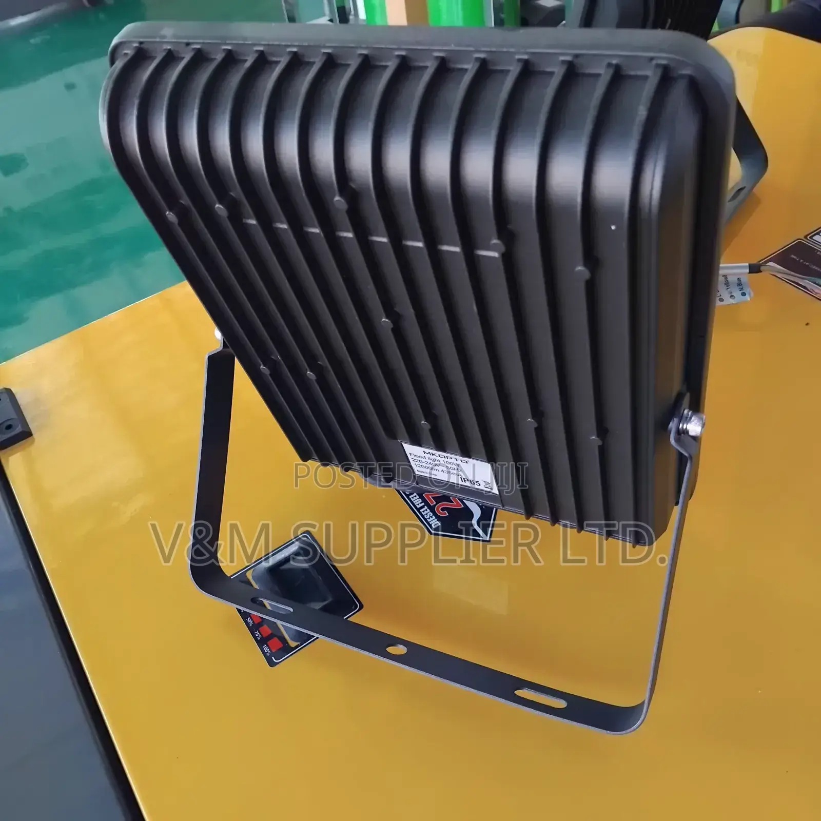 Flood Light 100w