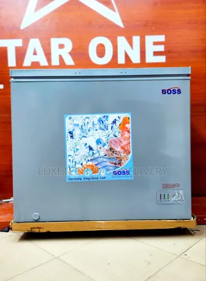 Boss Freezer 150 Liters