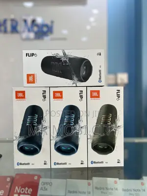 JBL Flip 6