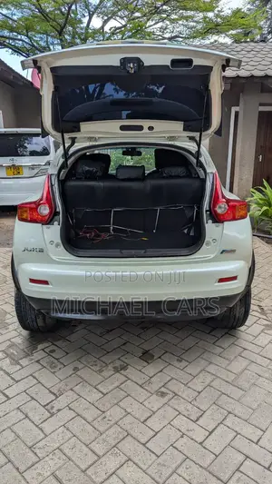Nissan Juke 2013 White