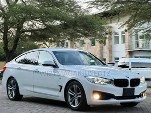 BMW 320i Sedan RWD 2014 Burgundy