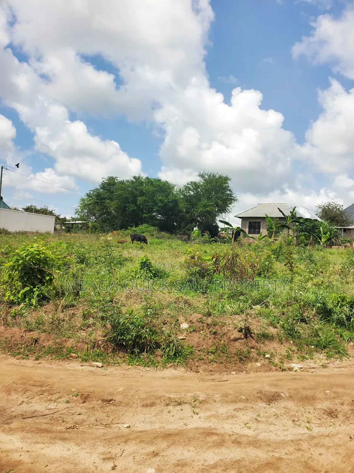 Plot for Sale at Madale Mbopo