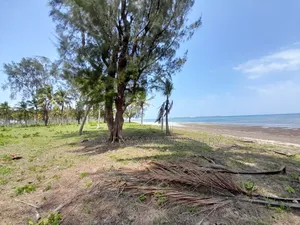 Beach Plot for Sale Kigamboni Geza Ulole