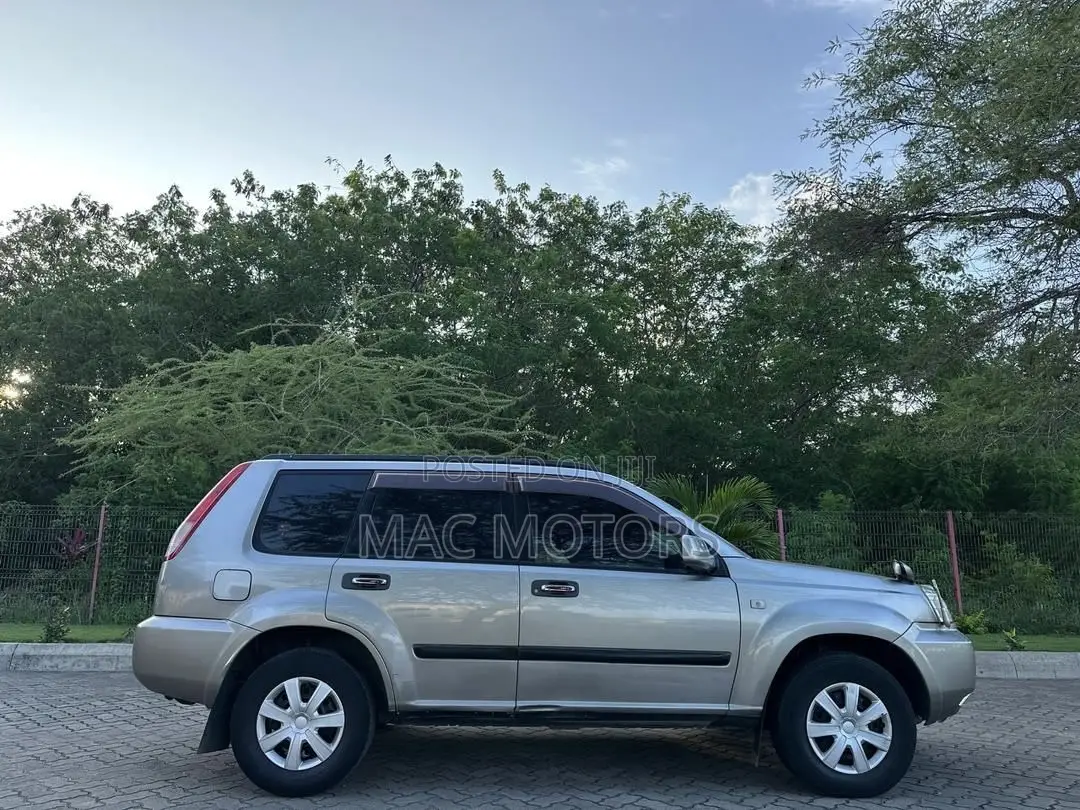Nissan X-Trail 2006 Silver