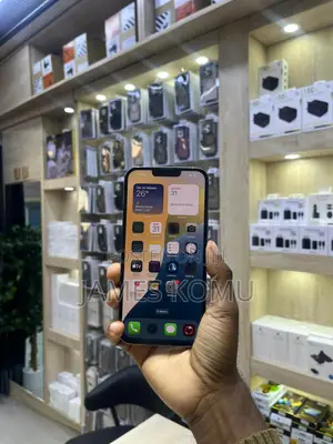 Apple iPhone 13 Pro Max 128 GB Bronze