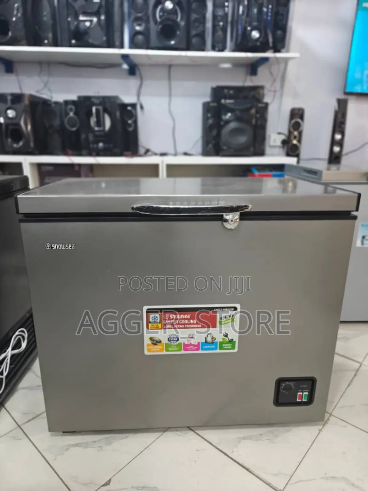 Snowsea Sn-308 280l Freezers