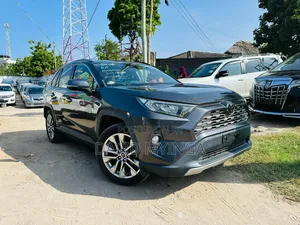 Toyota RAV4 2019 Gray
