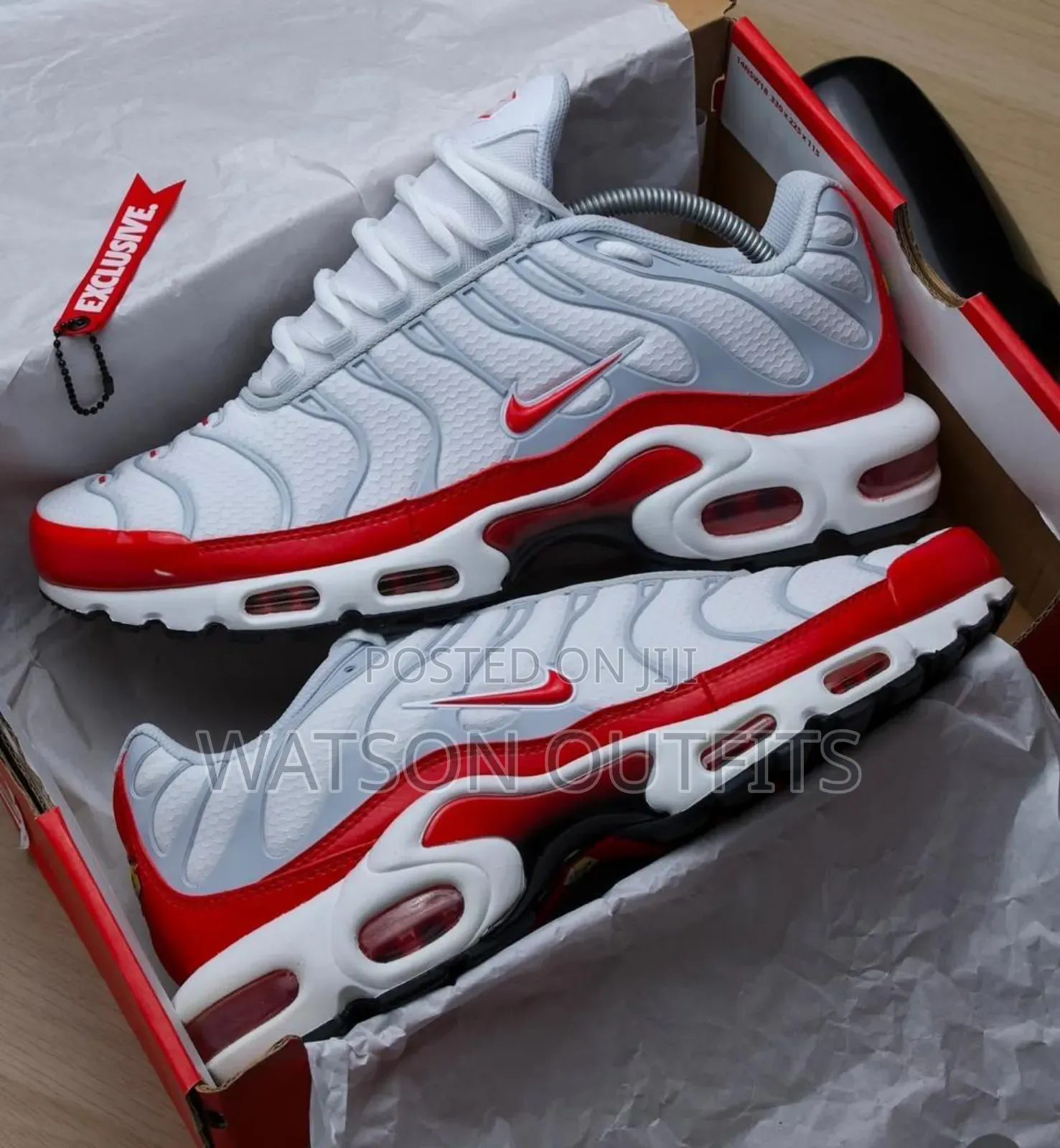 Viatu or Shoes Tin Niked