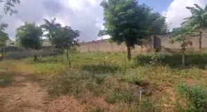 Kiwanja Kianuzwa Main Road Kiluvya