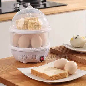 Electric Egg Boiler