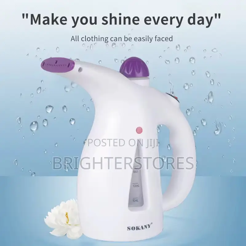 Cloth Iron Steamer