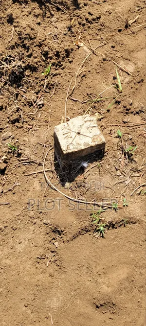 Plots for Sale Mbutu Amani Gomvu