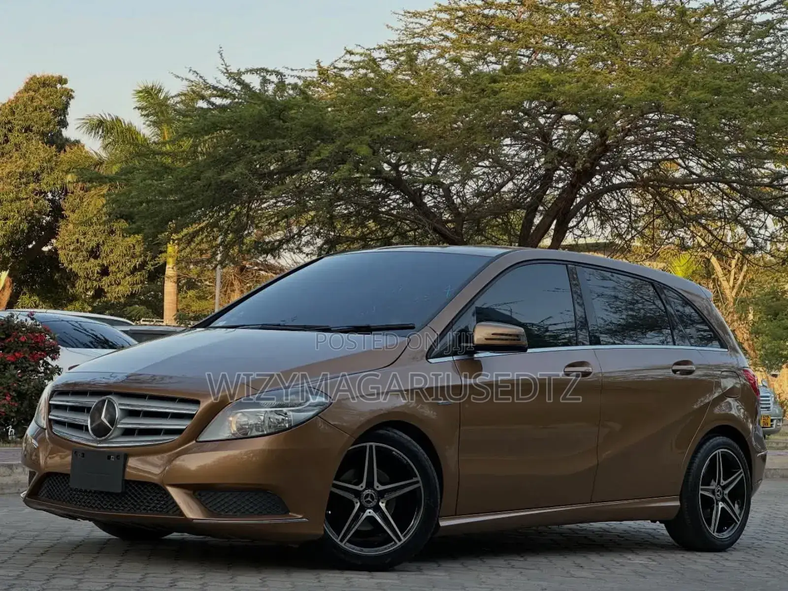 Mercedes-Benz B-Class 2013 Brown