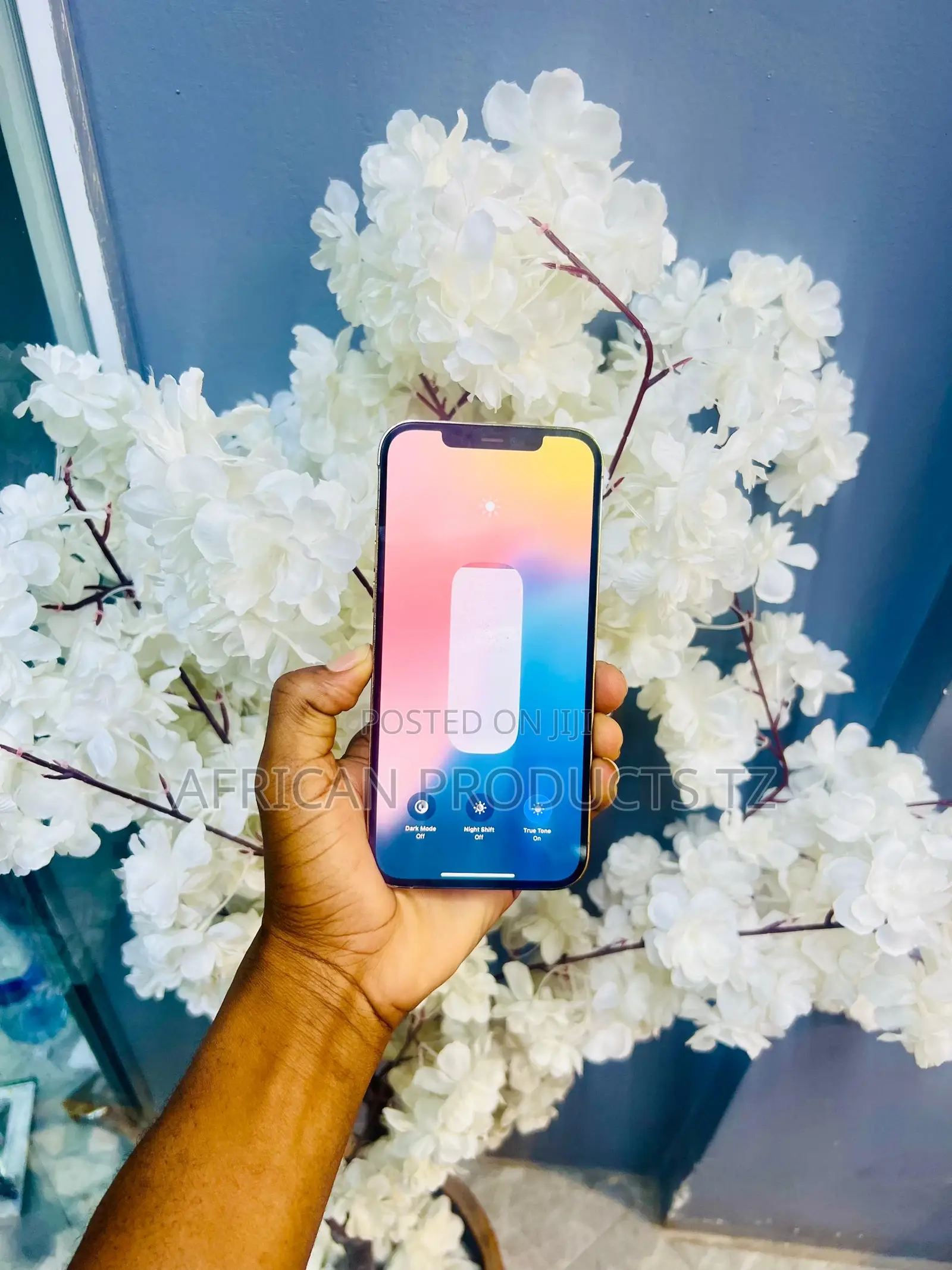 Apple iPhone 12 Pro Max 128 GB White