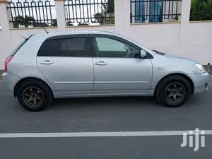 Toyota Corolla RunX 2001 Silver