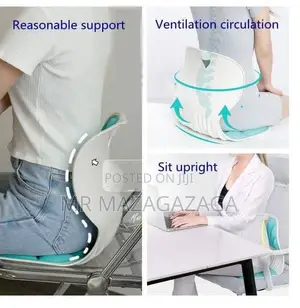 Back Support