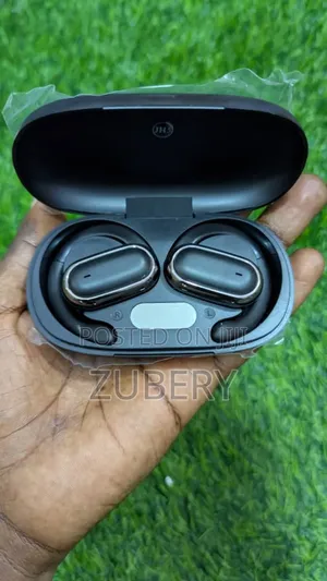 Morden on Ear Earbuds