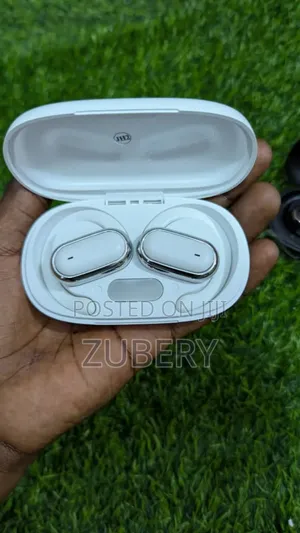 Morden on Ear Earbuds