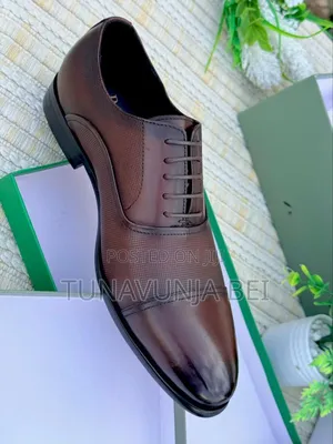 Berluti Shoes  / Brown Leather Shoes