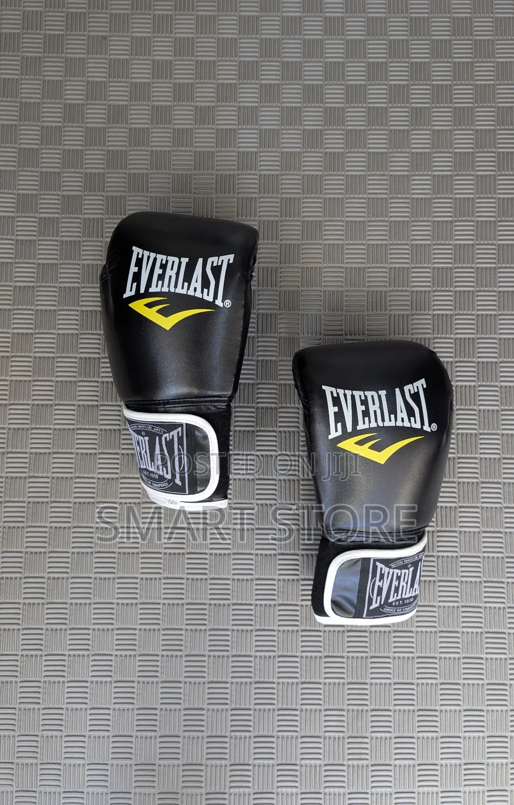 Everlast Boxing Gloves