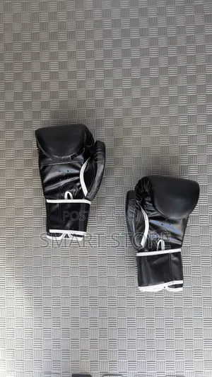 Everlast Boxing Gloves