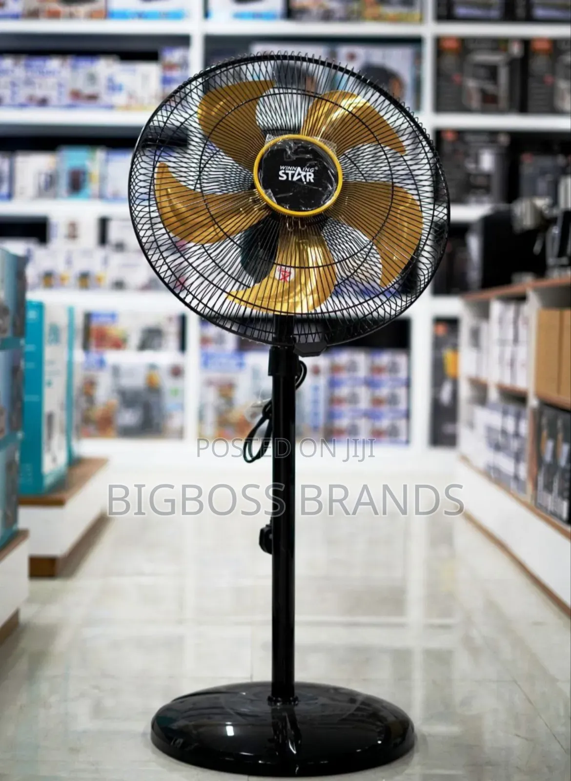 Wiinning Star Electric Floor Fan