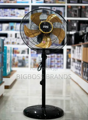 Wiinning Star Electric Floor Fan
