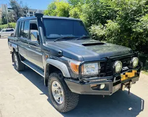 Toyota Land Cruiser 2019 Gray