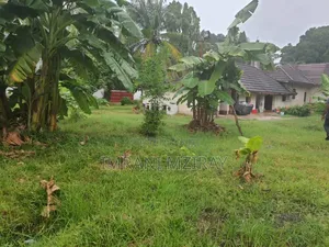 12bdrm House in Masaki for rent