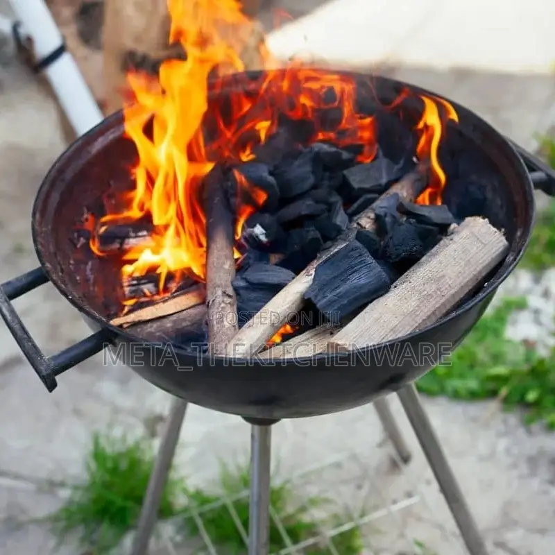 Portable Charcoal Barbecue Grill With Wheels
