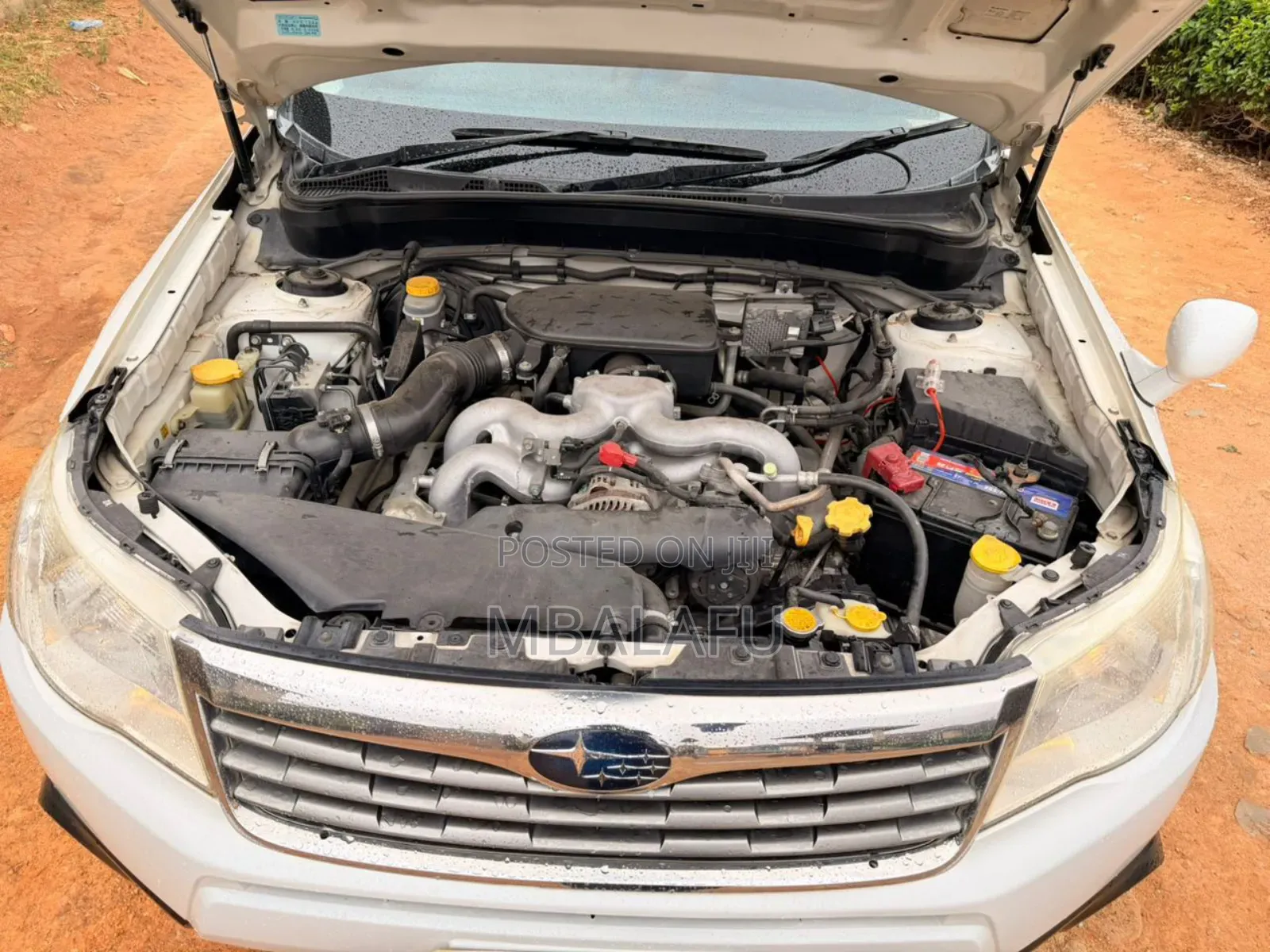 Subaru Forester 2011 White