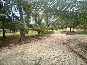 Beach Plot for Sale at Pwani McHangani Zanzibar