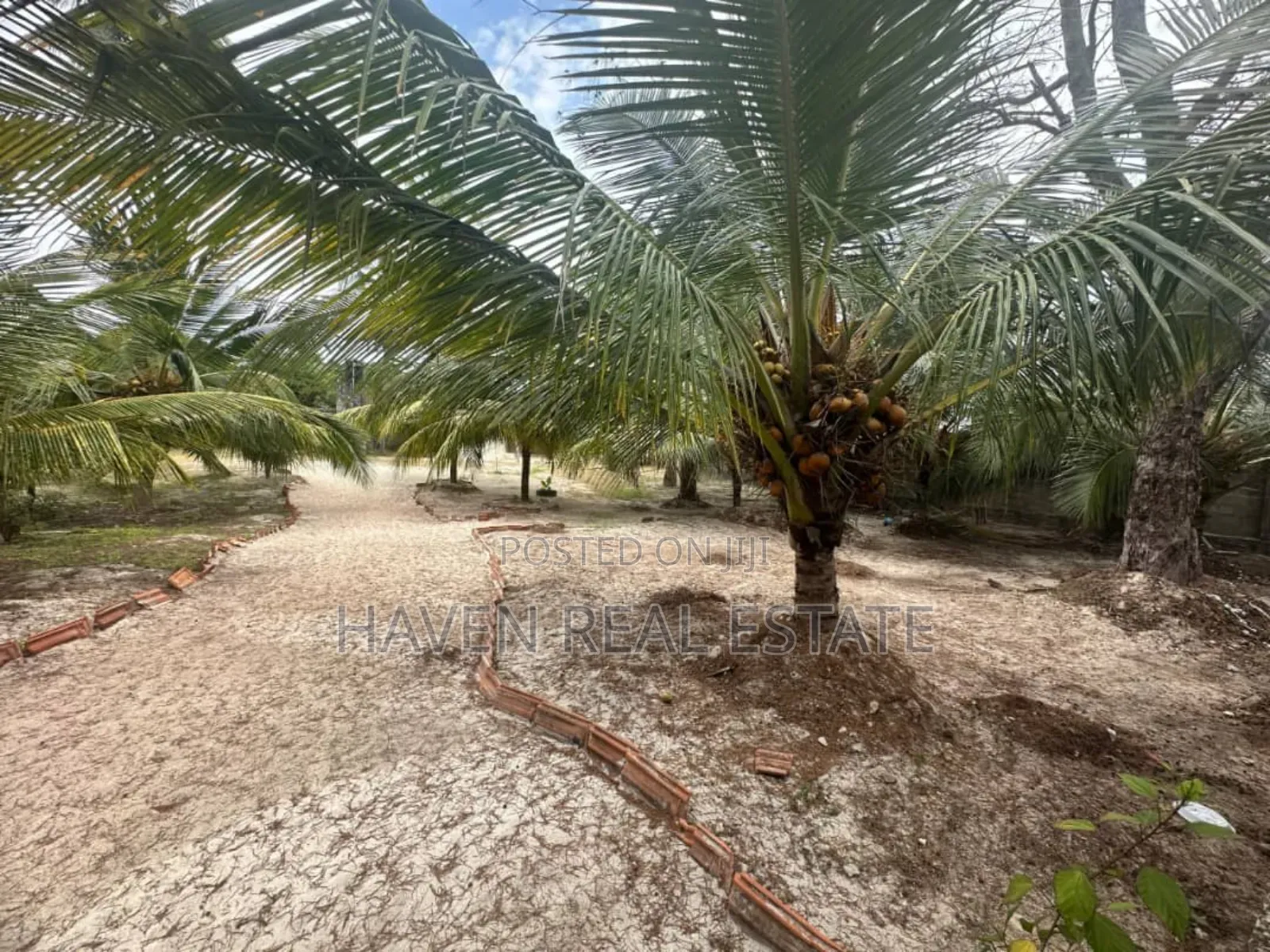Beach Plot for Sale at Pwani McHangani Zanzibar