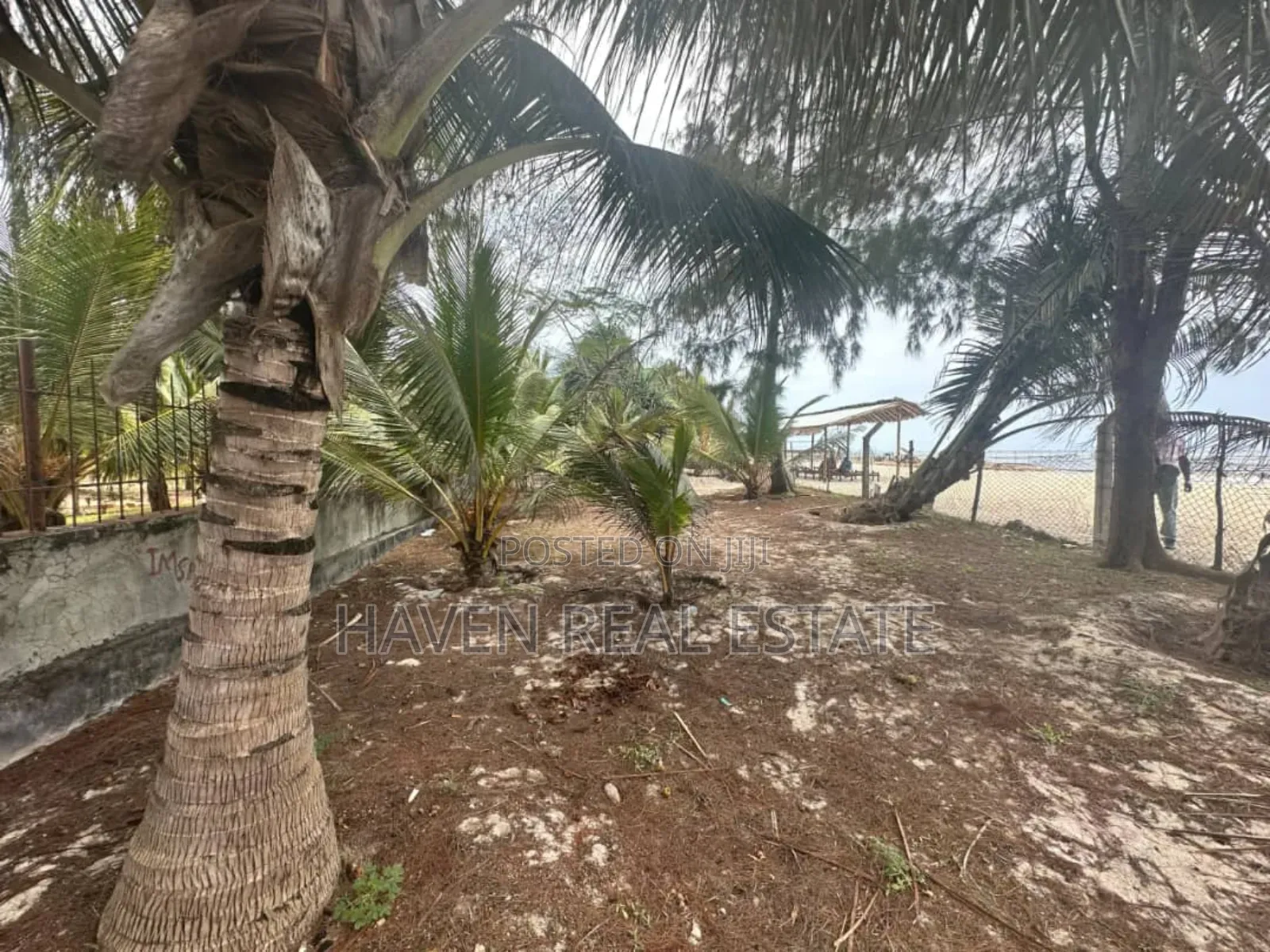 Beach Plot for Sale at Pwani McHangani Zanzibar
