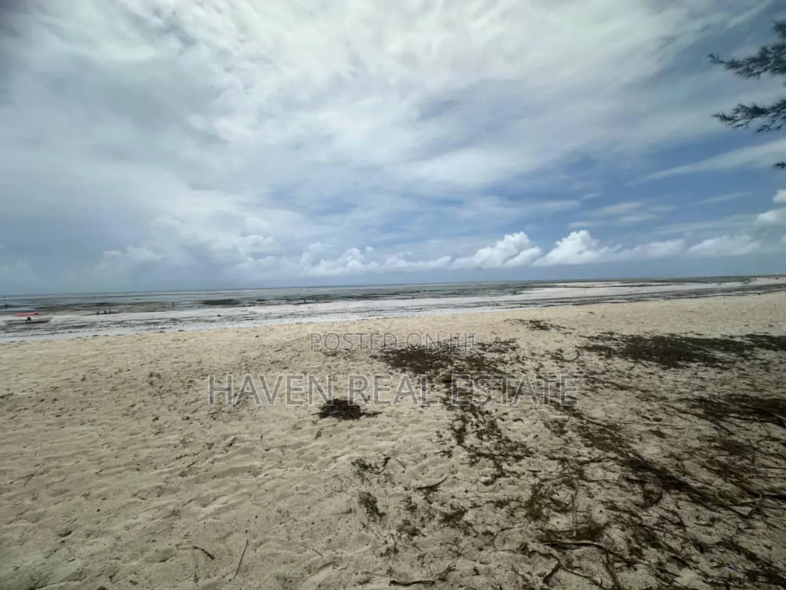 Beach Plot for Sale at Pwani McHangani Zanzibar