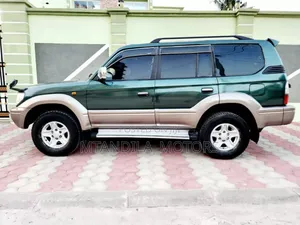 Toyota Land Cruiser 3.0 D 2003 Blue