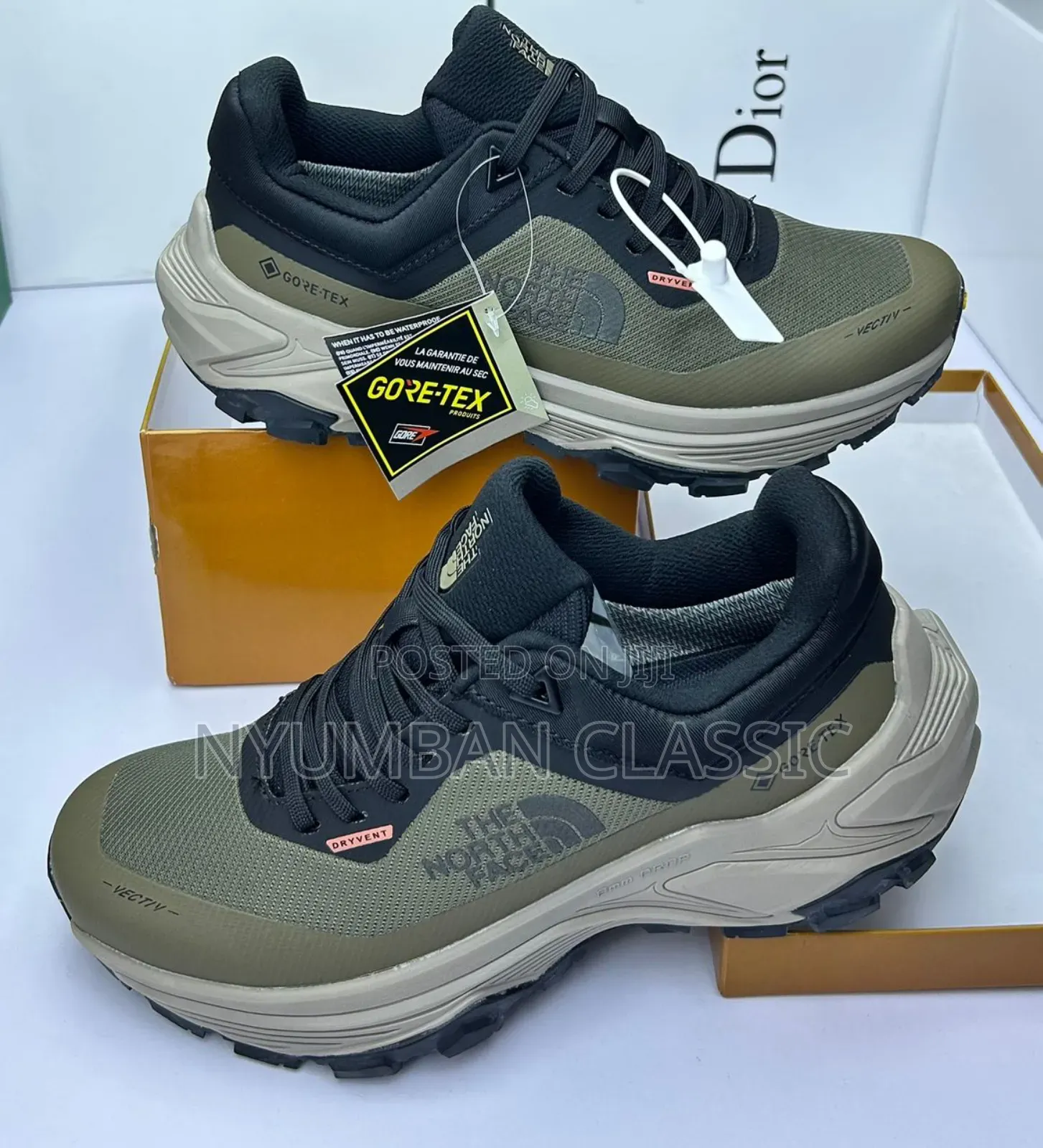 The North Face Shoes