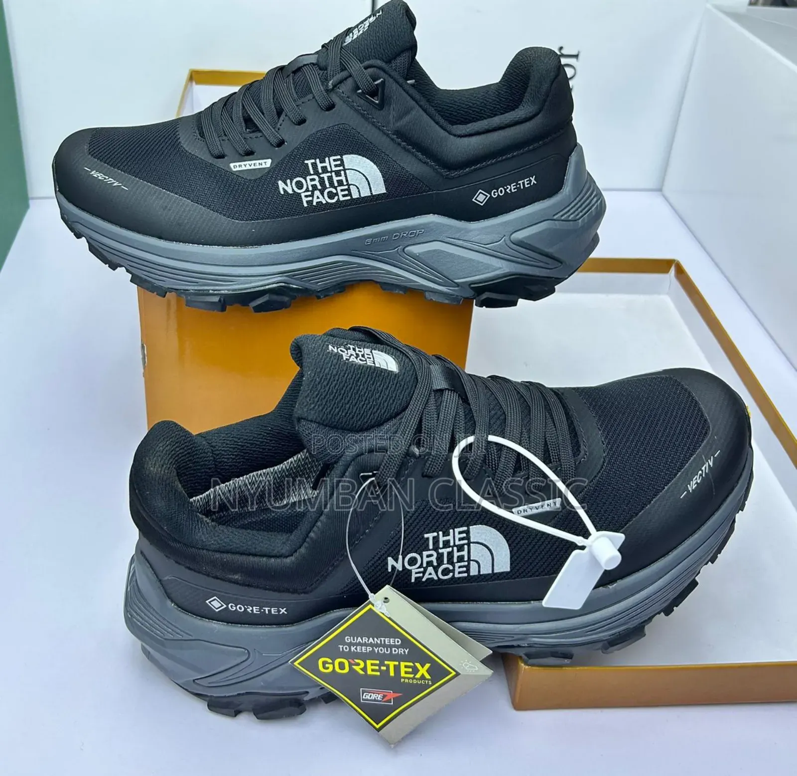 The North Face Shoes