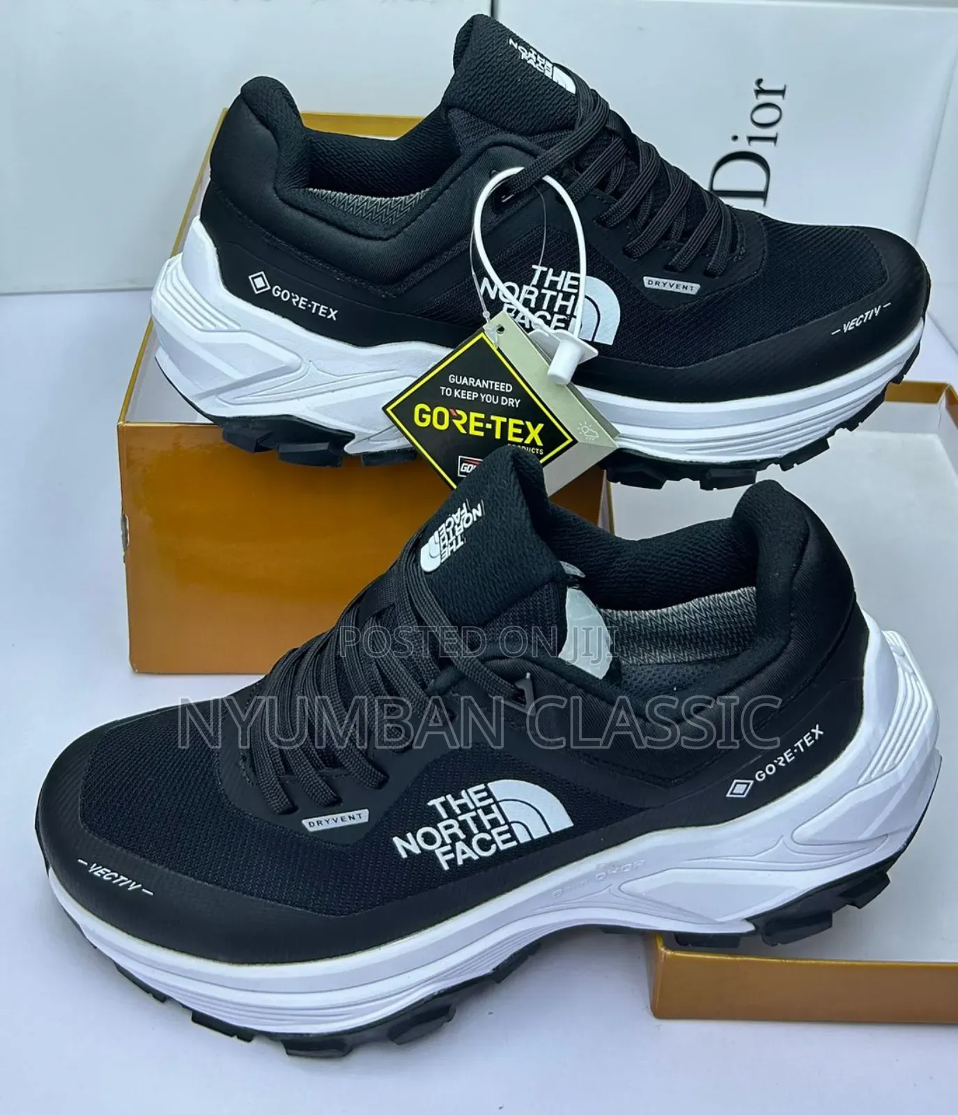 The North Face Shoes