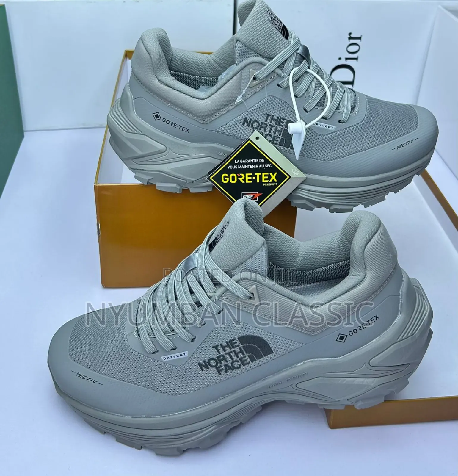 The North Face Shoes