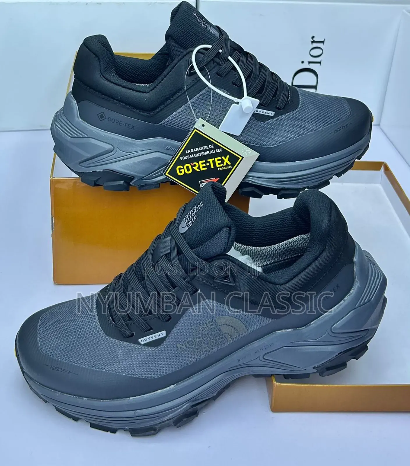 The North Face Shoes