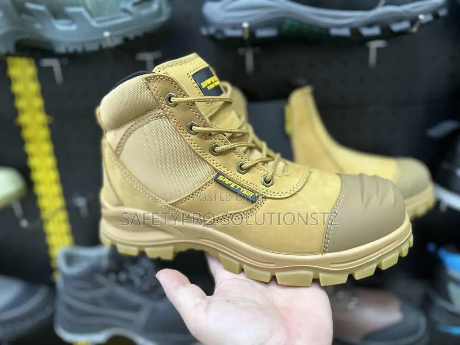 Safety Boy Sahara Safety Shoes