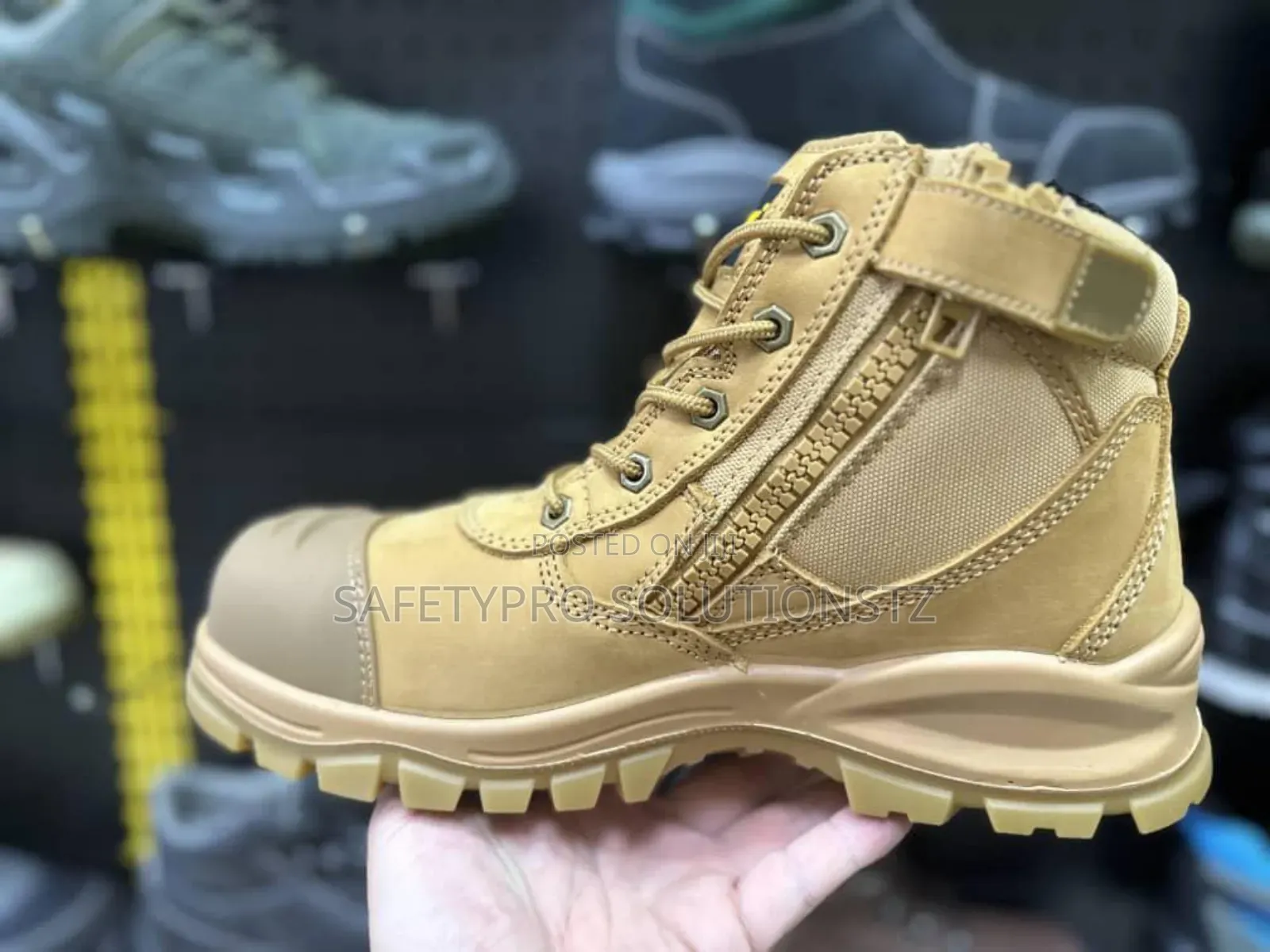 Safety Boy Sahara Safety Shoes
